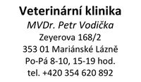 Vzorový otisk