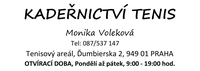 Šablona