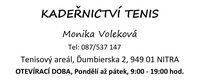 Šablona