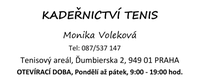 Šablona