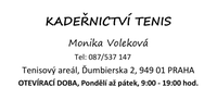 Šablona