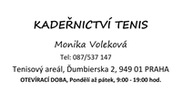 Šablona
