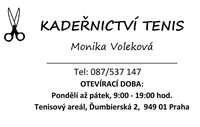 Šablona