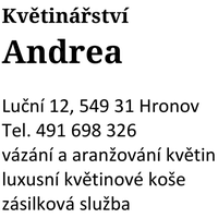 Šablona