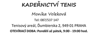 Šablona
